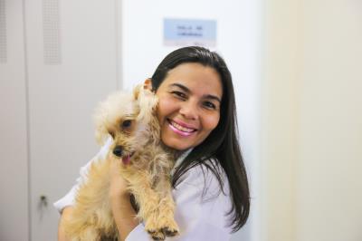 Prefeitura registra castração de mais de 4 mil animais em 2017 e adoção de 800 em dois anos