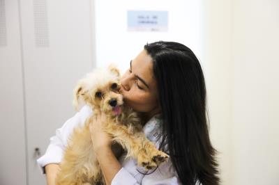 Prefeitura registra castração de mais de 4 mil animais em 2017 e adoção de 800 em dois anos