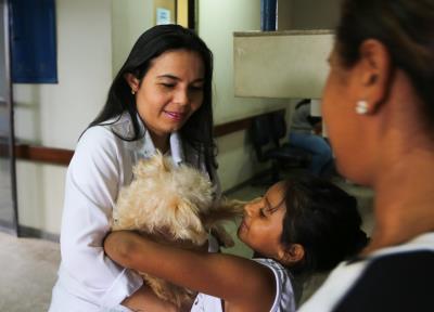 Prefeitura registra castração de mais de 4 mil animais em 2017 e adoção de 800 em dois anos