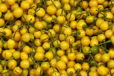 Ver-o-Peso completa 391 anos com bolo gigante, jogos e serviços para os feirantes	