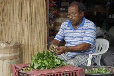 Ver-o-Peso completa 391 anos com bolo gigante, jogos e serviços para os feirantes	