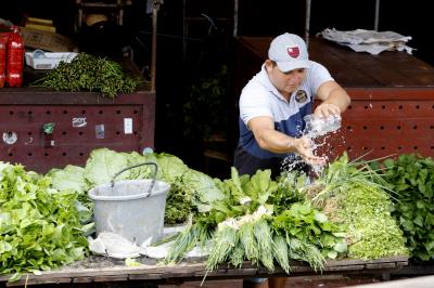 Ver-o-Peso completa 391 anos com bolo gigante, jogos e serviços para os feirantes	