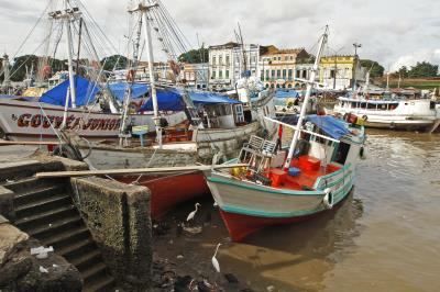 Ver-o-Peso completa 391 anos com bolo gigante, jogos e serviços para os feirantes	