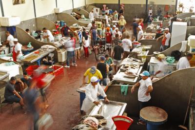 Ver-o-Peso completa 391 anos com bolo gigante, jogos e serviços para os feirantes	