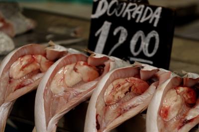 Ver-o-Peso completa 391 anos com bolo gigante, jogos e serviços para os feirantes	