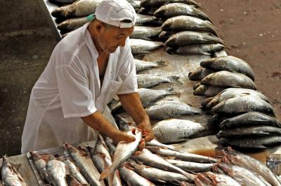 Ver-o-Peso completa 391 anos com bolo gigante, jogos e serviços para os feirantes	