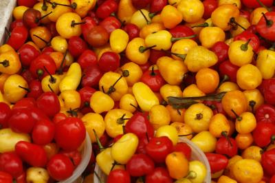 Ver-o-Peso completa 391 anos com bolo gigante, jogos e serviços para os feirantes	