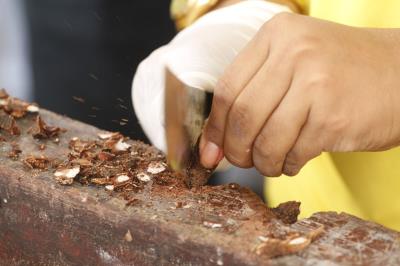 ANIVERSÁRIO DO VER-O-PESO 391 ANOS