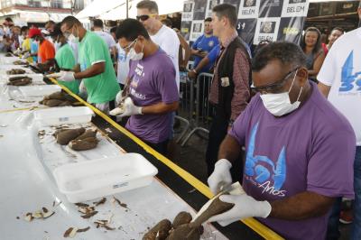 ANIVERSÁRIO DO VER-O-PESO 391 ANOS