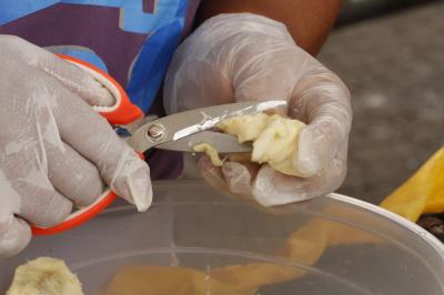 ANIVERSÁRIO DO VER-O-PESO 391 ANOS