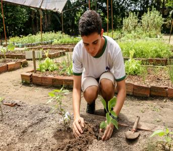 Funbosque comemora 22 anos e anuncia curso de gastronomia para 2019	