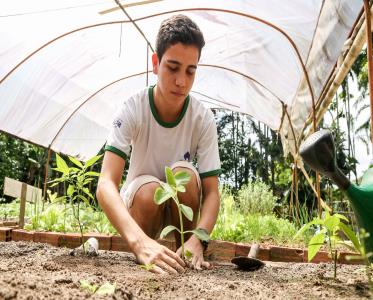 Funbosque comemora 22 anos e anuncia curso de gastronomia para 2019	