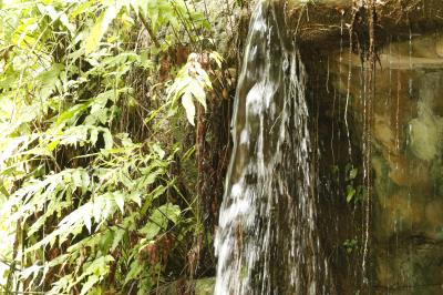 PROGRAMAÇÃO NO BOSQUE RODRIGUES ALVES - 08 DE MAIO