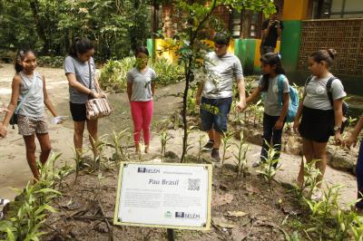 PROGRAMAÇÃO NO BOSQUE RODRIGUES ALVES - 08 DE MAIO