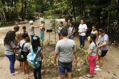 PROGRAMAÇÃO NO BOSQUE RODRIGUES ALVES - 08 DE MAIO