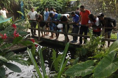 Pessoas em situação de rua visitam o Mangal das Garças