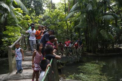 Colônia de férias com crianças venezuelanas no Bosque Rodrigues Alves