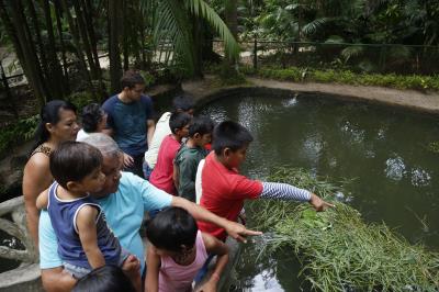 Colônia de férias com crianças venezuelanas no Bosque Rodrigues Alves