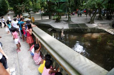 Colônia de férias com crianças venezuelanas no Bosque Rodrigues Alves