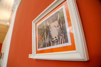 Opção de lazer do MABE em julho