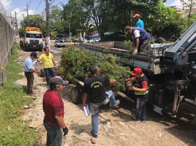 Prefeitura apreendeu mais de 730 carroças utilizadas para sujar a cidade