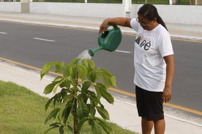 Novo trecho urbanizado da Bernardo Sayão completa um mês com área preservada pela comunidade