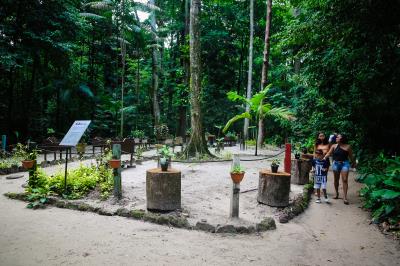 Bosque Rodrigues Alves celebra aniversário e apresenta seu mais novo morador