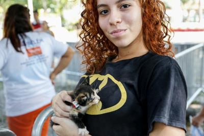Brinca Belém e Feira de Cães e Gatos no bairro da Marambaia