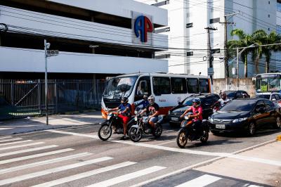Primeiro final de semana de setembro teve feira de adoção de animais no “Rua de Todos”