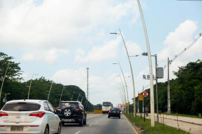Primeiro final de semana de setembro teve feira de adoção de animais no “Rua de Todos”