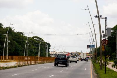 Primeiro final de semana de setembro teve feira de adoção de animais no “Rua de Todos”