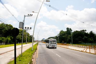 Primeiro final de semana de setembro teve feira de adoção de animais no “Rua de Todos”