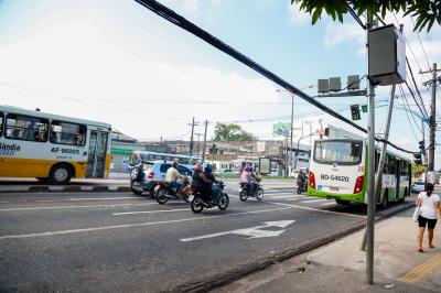 Primeiro final de semana de setembro teve feira de adoção de animais no “Rua de Todos”