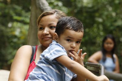 Peixe-boi do Bosque ganha bolo especial no aniversário de 62 anos