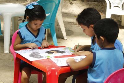 Peixe-boi do Bosque ganha bolo especial no aniversário de 62 anos