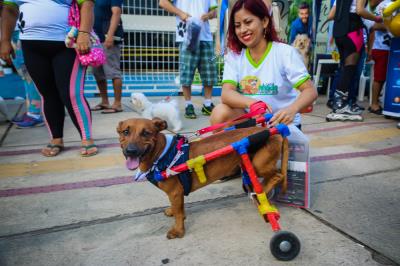 Domingo de lazer na Doca também teve caminhada para cães