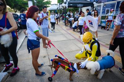 Domingo de lazer na Doca também teve caminhada para cães