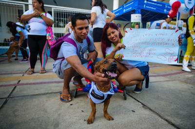 Domingo de lazer na Doca também teve caminhada para cães