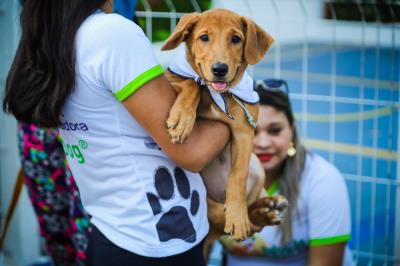 Domingo de lazer na Doca também teve caminhada para cães
