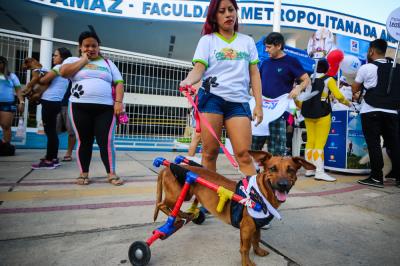 Domingo de lazer na Doca também teve caminhada para cães