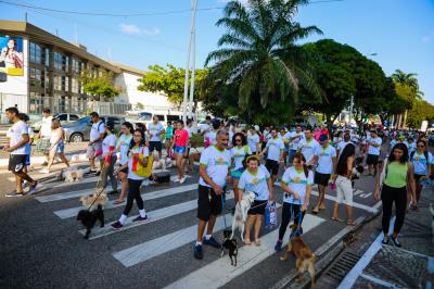 Domingo de lazer na Doca também teve caminhada para cães