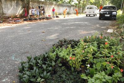 Iniciativa de moradores muda cenário na Marambaia
