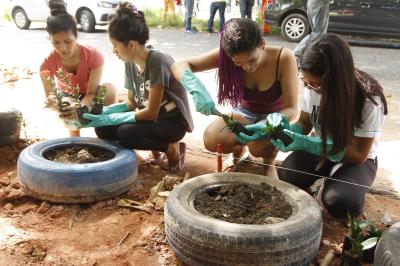 Iniciativa de moradores muda cenário na Marambaia