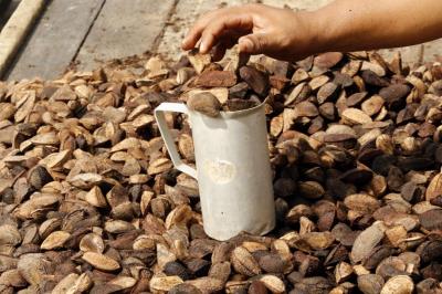 Belém e seus vários encantamentos vistos nas praças, rios e no seu verde	