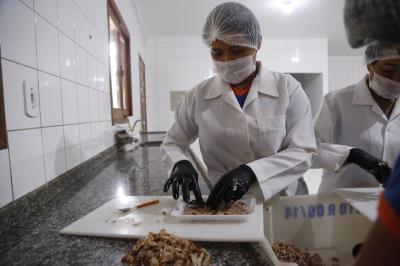 Aprovados em processo seletivo iniciam atividade na Funbosque