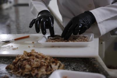 Aprovados em processo seletivo iniciam atividade na Funbosque