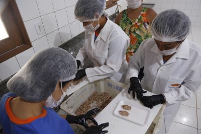 Aprovados em processo seletivo iniciam atividade na Funbosque