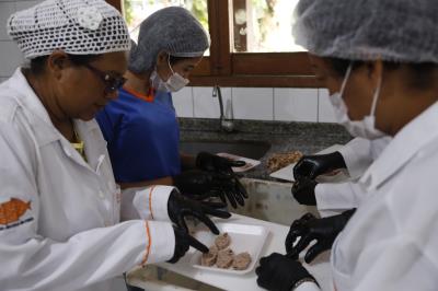 Aprovados em processo seletivo iniciam atividade na Funbosque