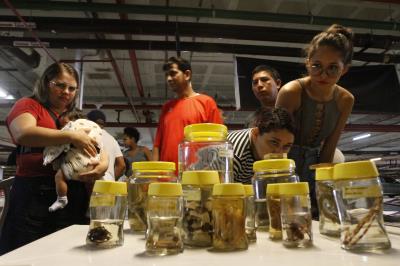Feira de adoção de cães e gatos repete sucesso na 37ª edição