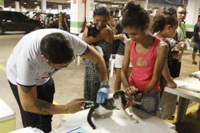 Feira de adoção de cães e gatos repete sucesso na 37ª edição